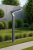 ELEW 80.png