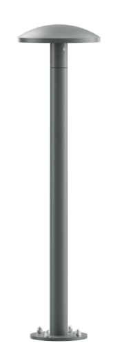 KANIA-06_12-szary.png