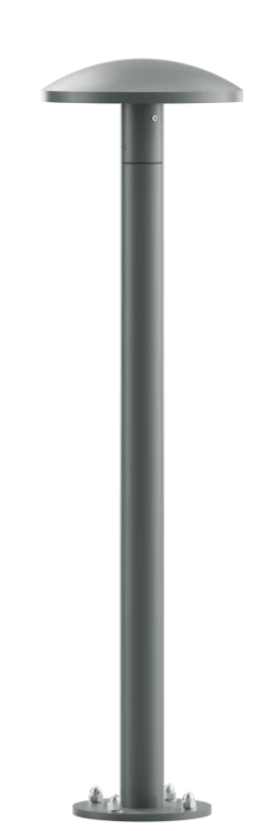 KANIA-06_12-szary.png